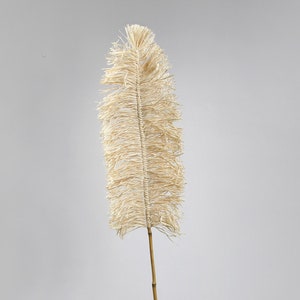 Natural dried branch with big stem cheap fast delivery image 1