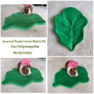 Lechuga de hoja verde grande, alfombrilla para la siesta, almohadilla para orinar, cobaya, conejo mini lop, chinchilla
