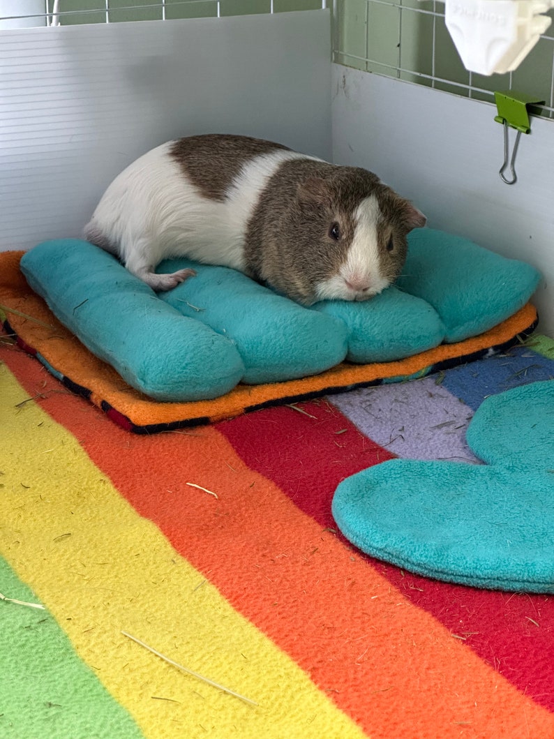 Comfy Noodle Mattress / Sleep Cushion Bed Guinea Pig /mini Etsy