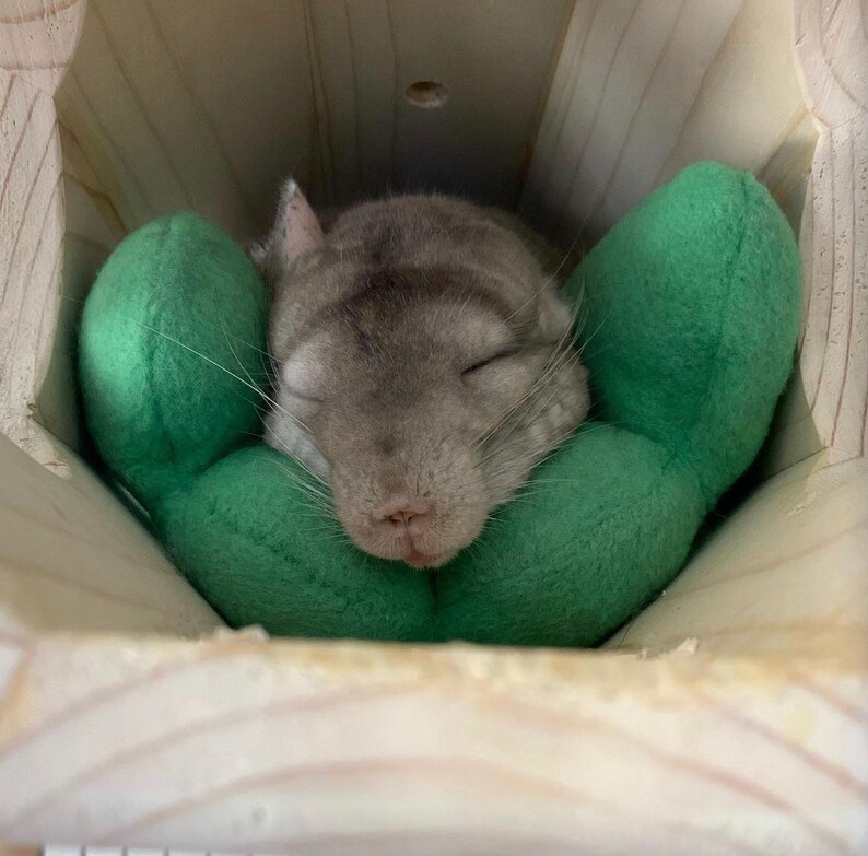 Comfy Noodle Mattress / Sleep Cushion Bed Guinea Pig /mini Etsy