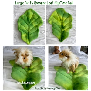 Large Puffy Romaine NapTime Mat Pee Pad Guinea pigs chinchilla mini lop