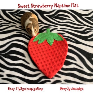 May include: A red strawberry-shaped naptime mat for small pets. The mat has a textured surface and a green felt leaf on top. A guinea pig is looking at the mat.