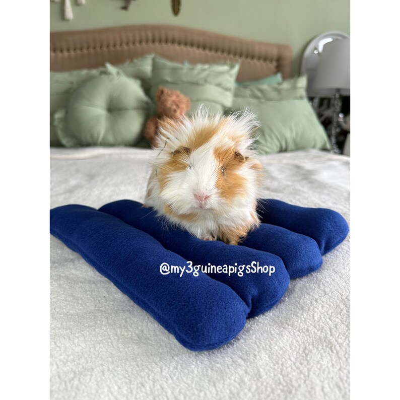 Comfy Noodle Mattress / Sleep Cushion Bed Guinea Pig /mini Etsy