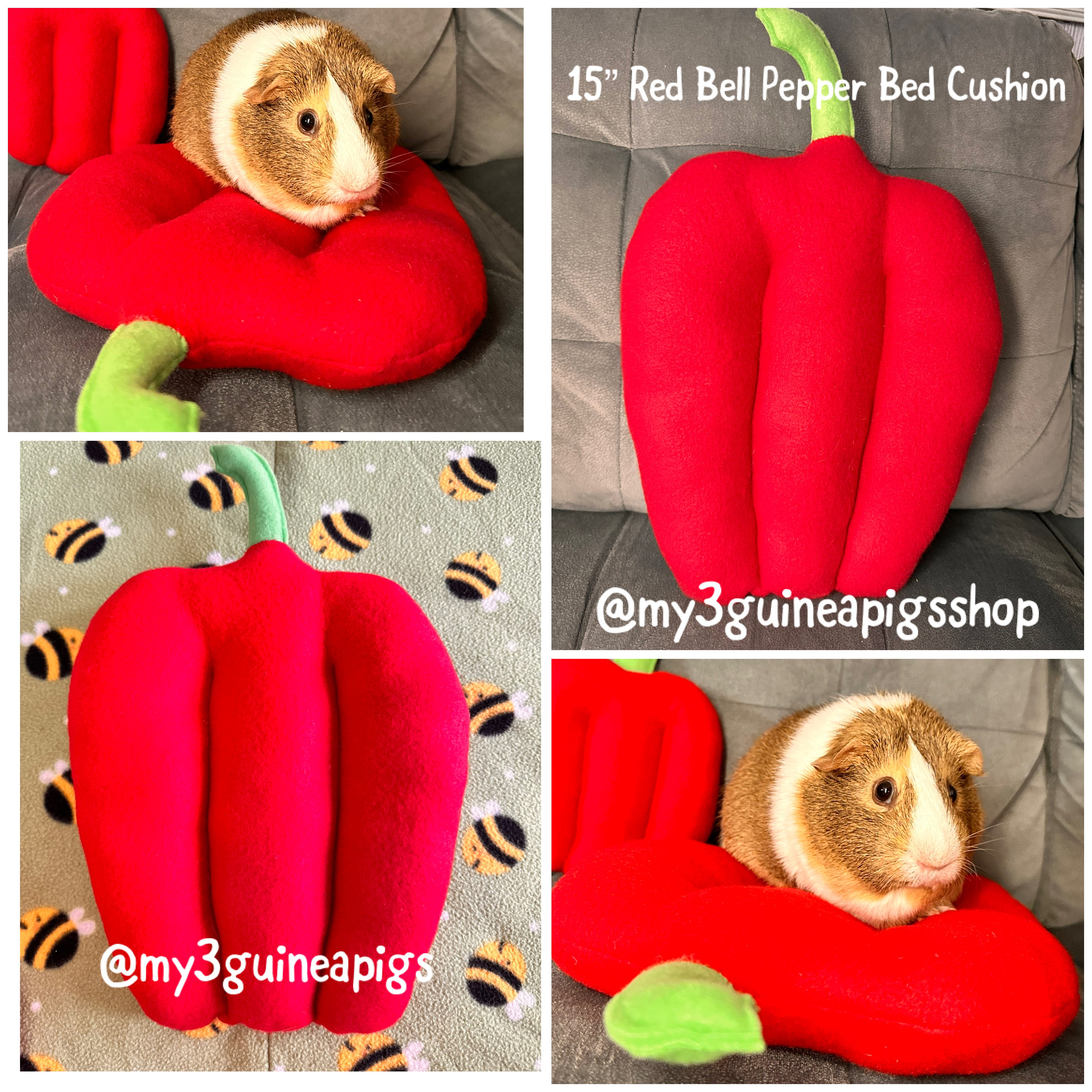 Guinea pig bell pepper 2025