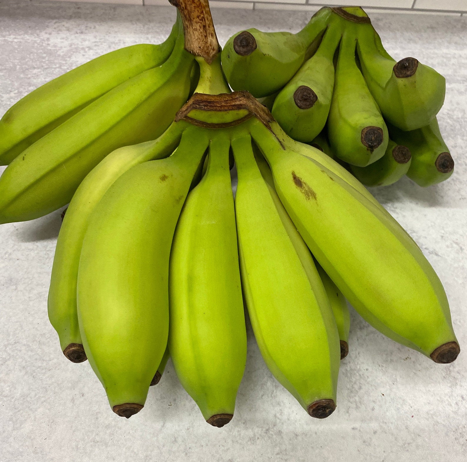 8.59 Lbs Thai Banana Fresh Free Shipping Etsy