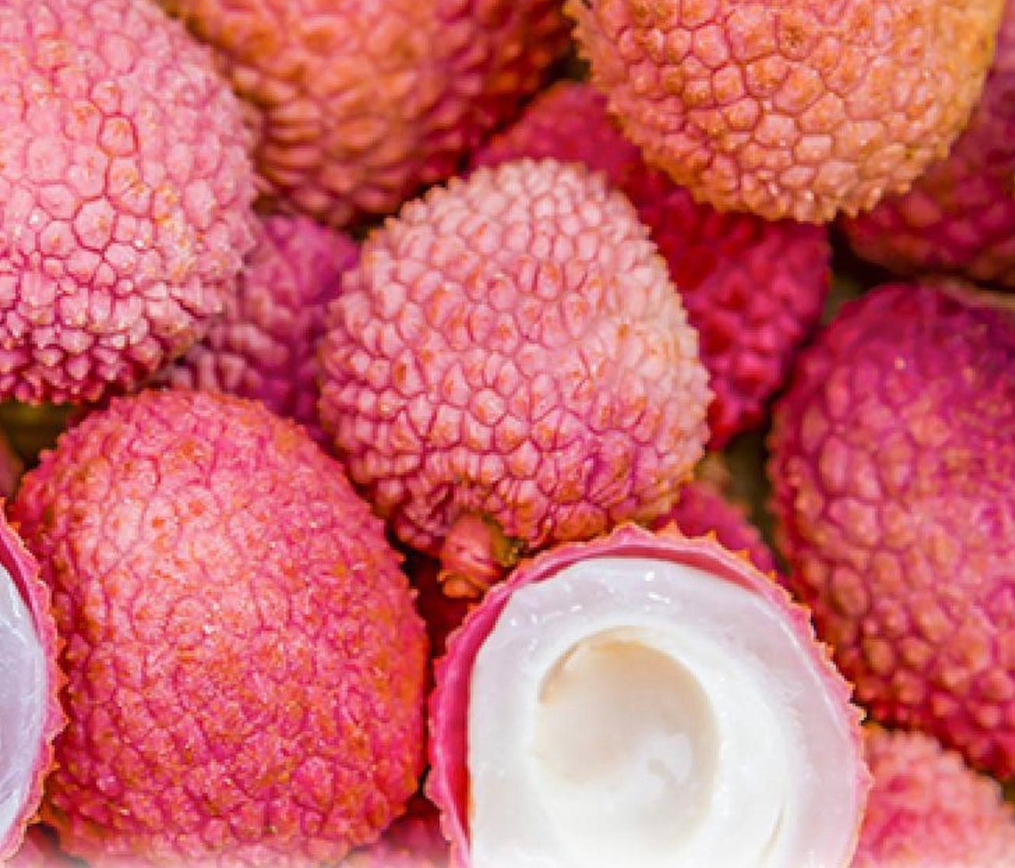 5lbs Fresh Lychee Fruit Free Shipping Etsy
