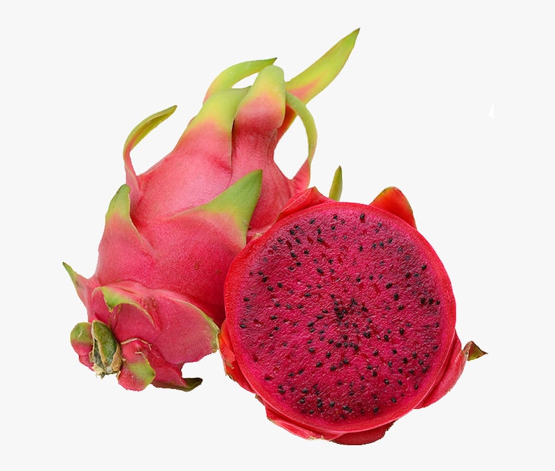 4.55lbs Fresh Red Dragon Fruit FREE Shipping Etsy