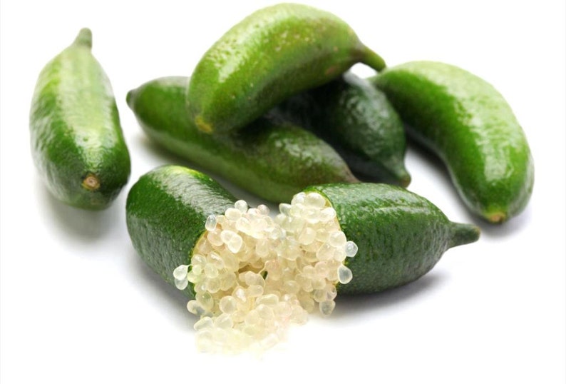 1/2lbfresh Finger Limes Caviar Limes Free Shipping Etsy