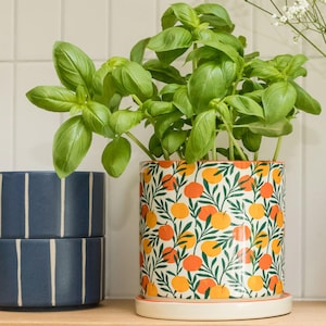Ceramic Plant Pot 14cm, Orangery Fruit Print, Indoor Planter, British Gardening Company
