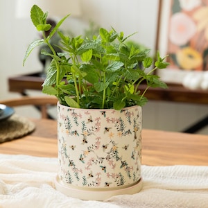Può includere: Un vaso cilindrico in ceramica con base color crema caratterizzato da un motivo ripetuto di piccole api, rametti verdi e fiori rosa. Il vaso include un sottovaso circolare abbinato e contiene una pianta di menta verde.