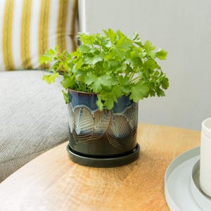 Peut inclure: Un pot de fleurs cylindrique en céramique avec un vernis bleu foncé et noir, orné d'un motif de feuilles sculptées sur l'extérieur. Le pot repose sur une soucoupe circulaire assortie et contient une plante verte aux petites feuilles dentelées.