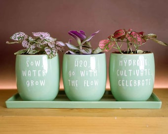 Upper Street Set of 3 Slogan Ceramic Planters with Matching Tray