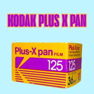 Kodak PLUS-X Pan 35mm. Expired 1991.