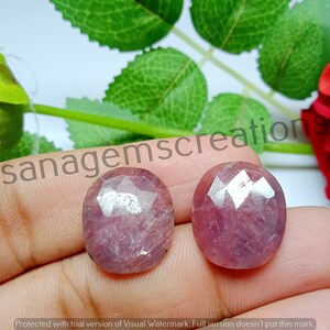 May include: Two oval-shaped, faceted gemstones with a purplish-red hue. The gems have a polished surface with multiple facets that catch the light. The image is set against a backdrop of green leaves and a red rose.
