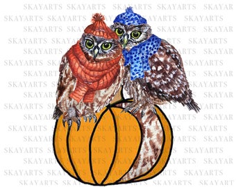 Fall Owl png, Halloween PNG, Halloween pumpkin sublimation, Halloween digital, pumpkin PNG, Watercolor Owl, Farmhouse Owl in hat