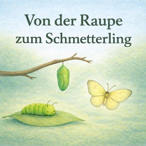 Könnte beinhalten: Illustration mit den Stadien der Verwandlung eines Schmetterlings. Ein grüner Raupe auf einem Blatt, eine Chrysalis an einem Ast und ein gelber Schmetterling. Der deutsche Text lautet "Von der Raupe zum Schmetterling".