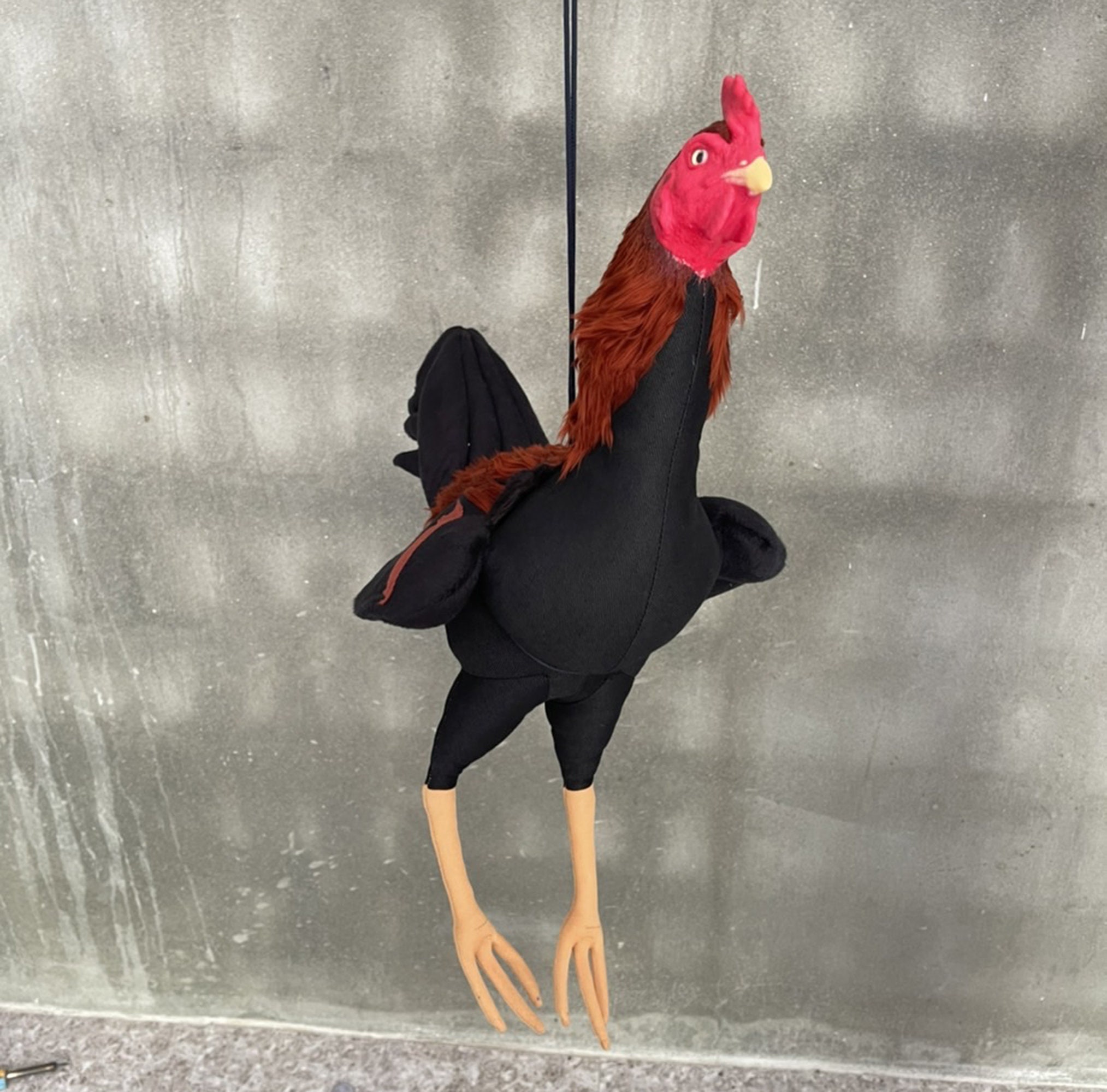 Chicken Doll Rooster Cock Realistic Silicone Training Equipment