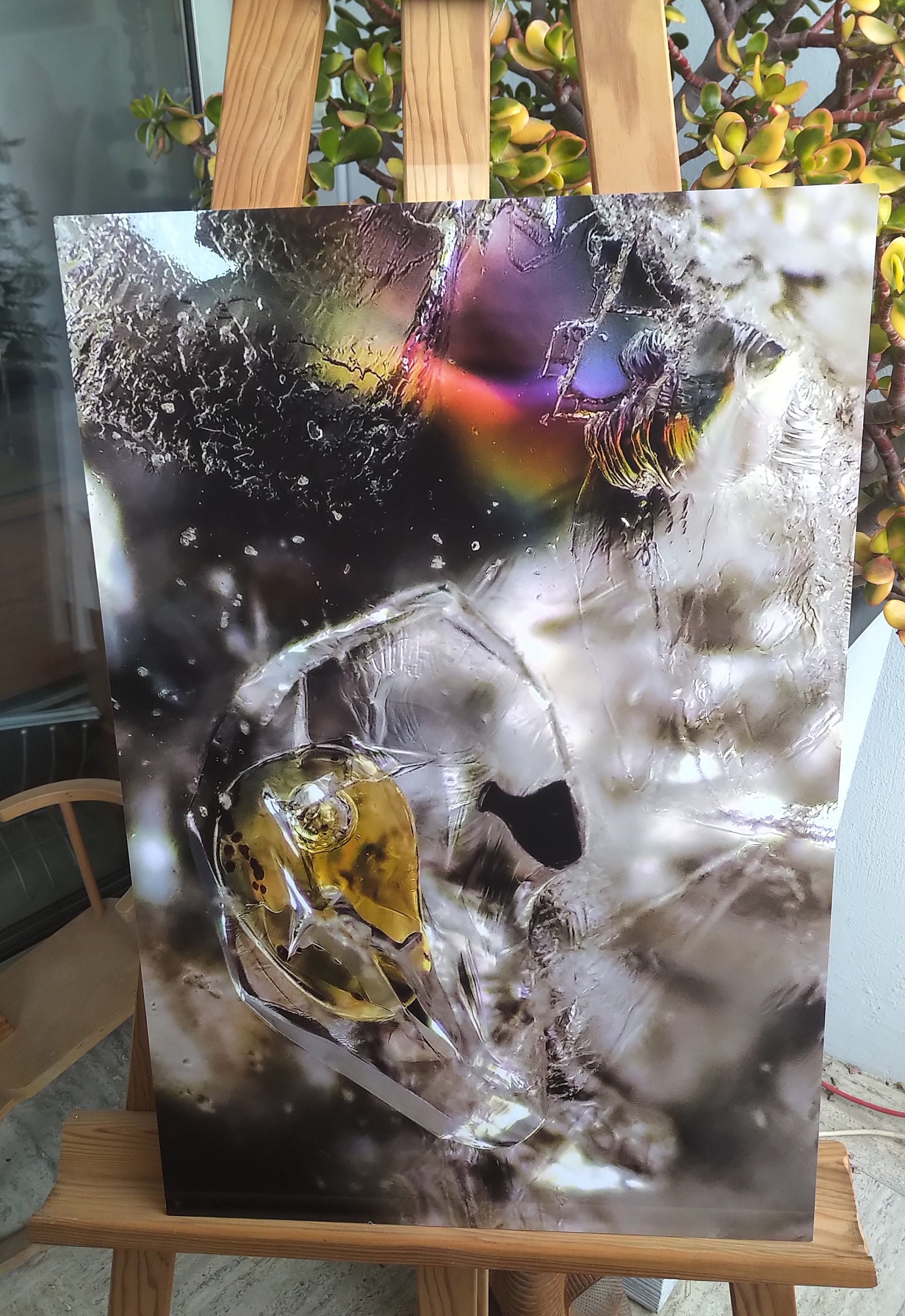 Fossile ~ Quartz Brut ; Photomicrographie sur Aluminium