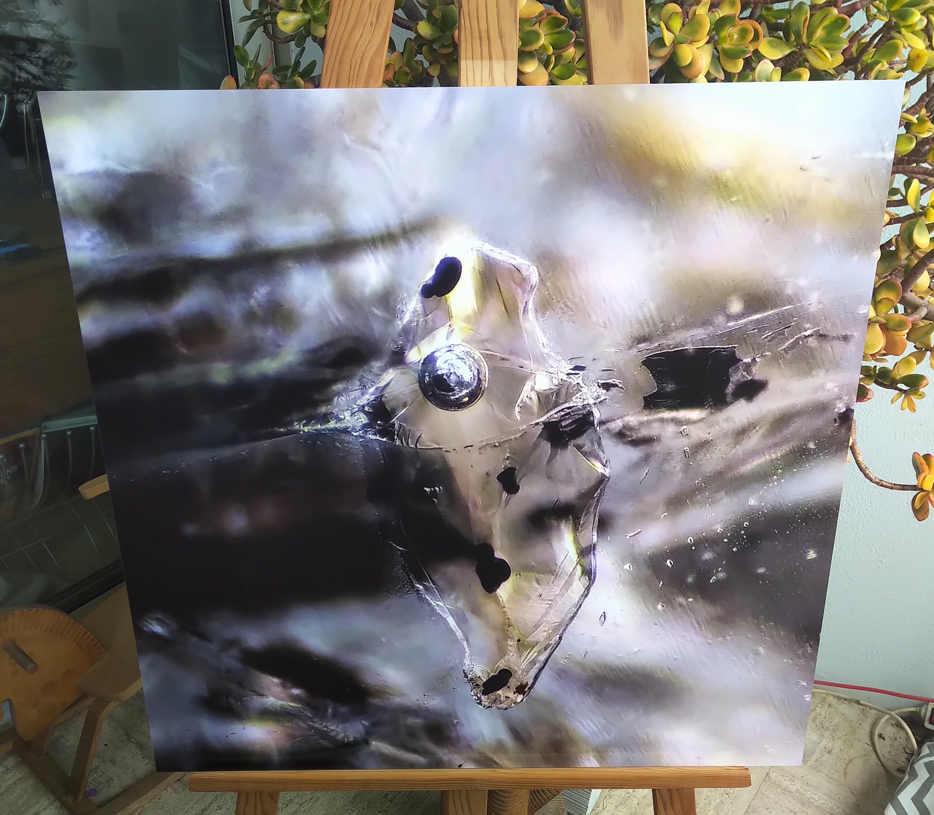 Sphère ~ Quartz Brut ; Photomicrographie sur Aluminium