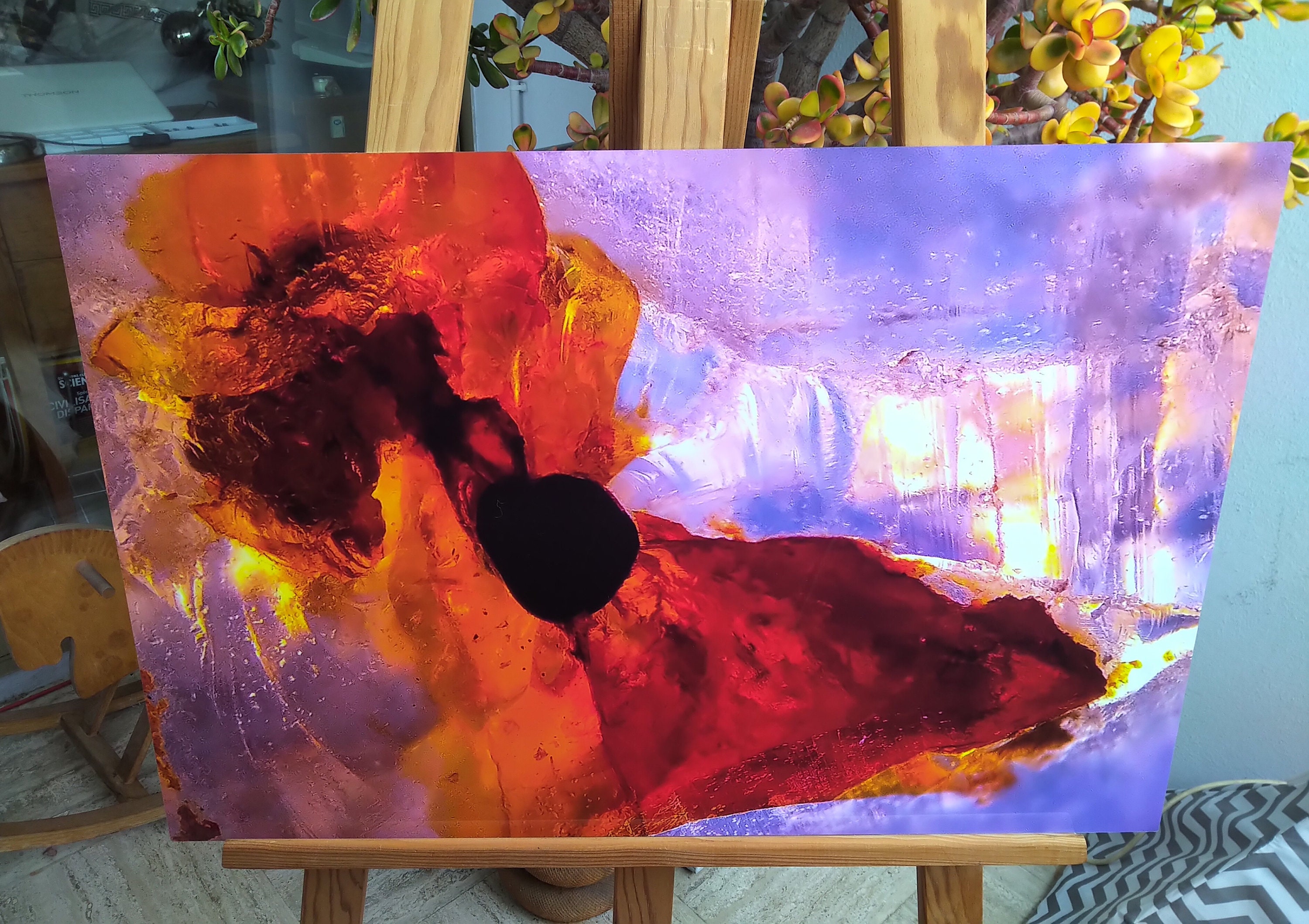 Fleur de Pavot ~ Saphir Brut ; Photomicrographie sur Aluminium