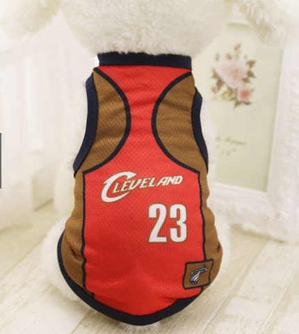 Cleveland browns top dog jersey