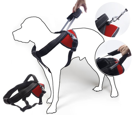 Harnais anti-tirage - anti traction pour chiens