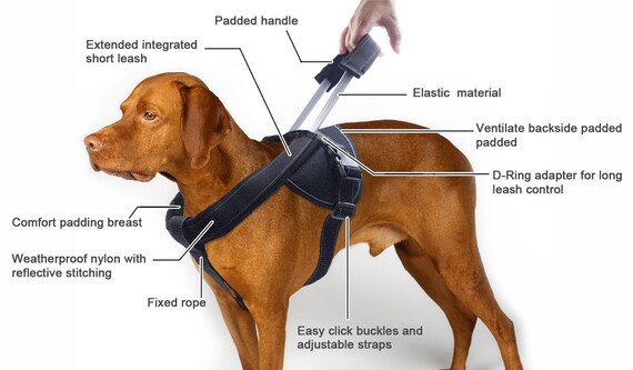 No Pull Dog Harness Comfortable Reflective Breathable