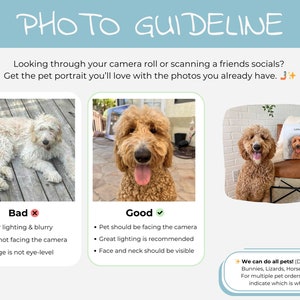 Photo guideline for our pet portraits. Includes information for getting photos from a friend or loved one as this is a popular personalized gift for her/him.