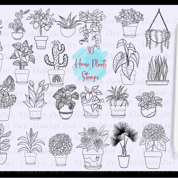 30 Zimmerpflanzen Procreate Stempel Topfpflanzen Stempel Procreate Brushes Violet Cactus Stempel Bündel