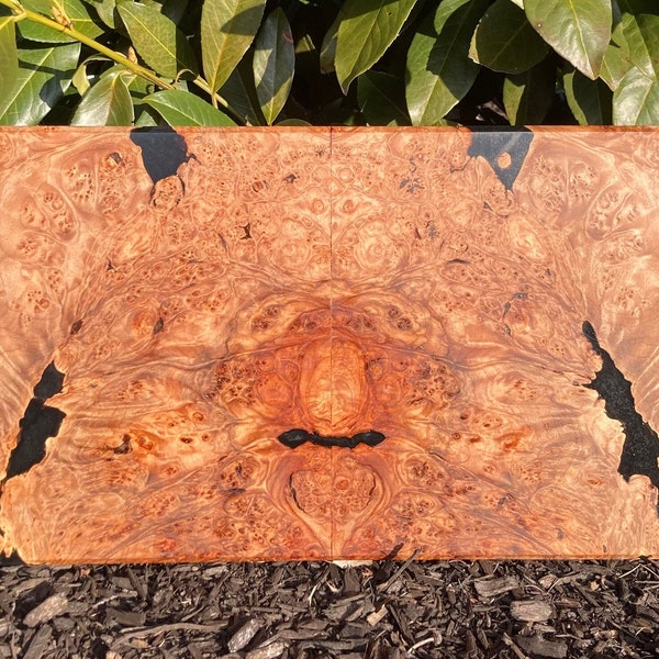 Maple Burl Bookmatch ‘Grover’