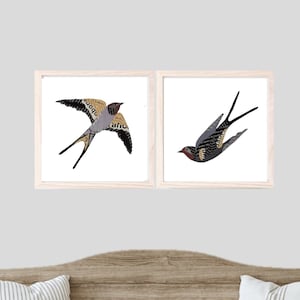 Set of 2 Barn Swallow Bird Art Prints for Vintage Decor, Unique Collage Wall Art as Gift for Bird Lovers