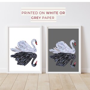May include: Two black and white swans made of paper, one on a white background and one on a grey background.  The swans are made of cut-out pieces of paper, creating a textured look.  "PRINTED ON WHITE OR GREY PAPER" is written in red text at the top of the image.