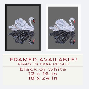May include: Two framed prints of a black and white swan made from paper collage. The swan is depicted in a graceful pose with its wings spread. The prints are available in black or white frames and in two sizes: 12 x 16 inches and 18 x 24 inches.