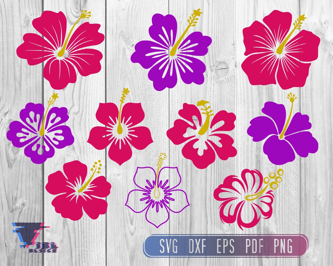 Hawaiian Flowers Svg Hawaiian Flower Svg Hibiscus Svg | Etsy