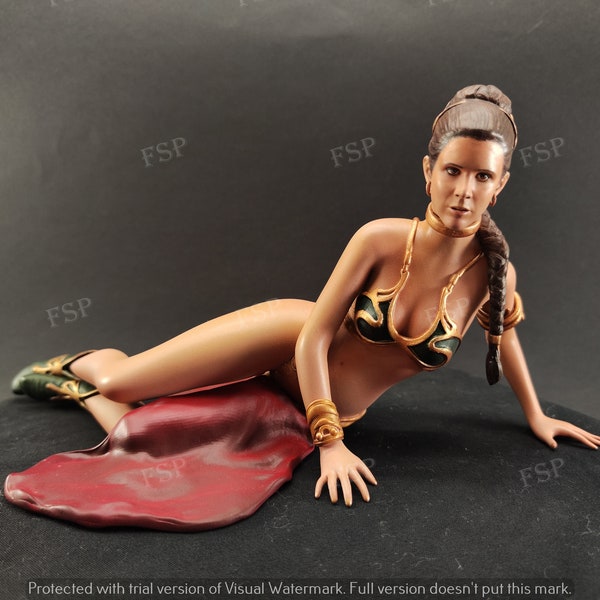Princess Leia Star Wars 3D printed and hand painted figure
