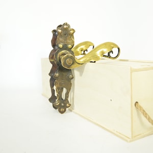 Vintage handle, solid brass Antique hook. Main door.