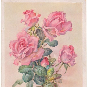 Vintage Blumen vom Bauernhof Blumen Dekor Mitte des Jahrhunderts 1950er Jahre Illustration von Roses Clip Art/Gemälde/Zeitschriftenseiten Florale Wandkunst