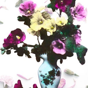 Può includere: Una composizione floreale in un vaso bianco con una sfumatura azzurra. Il bouquet presenta fiori vibranti nelle tonalità del viola, rosa e giallo, con fogliame verde. Petali e boccioli sparsi circondano il vaso, creando una composizione delicata.