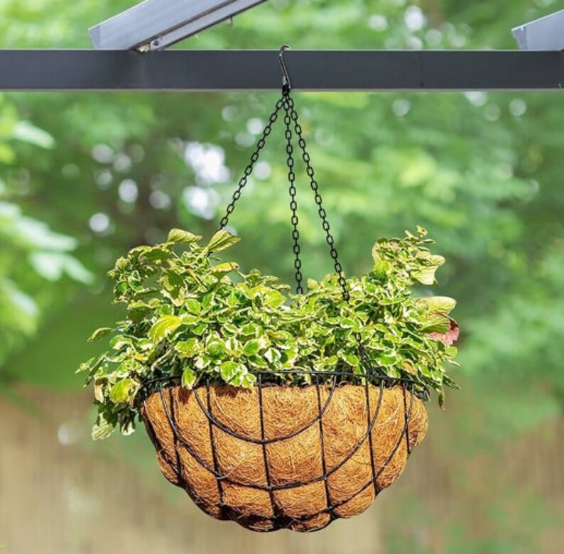 Coco Liners Flower Pot Fibre Hanging Basket Plant Garden Etsy