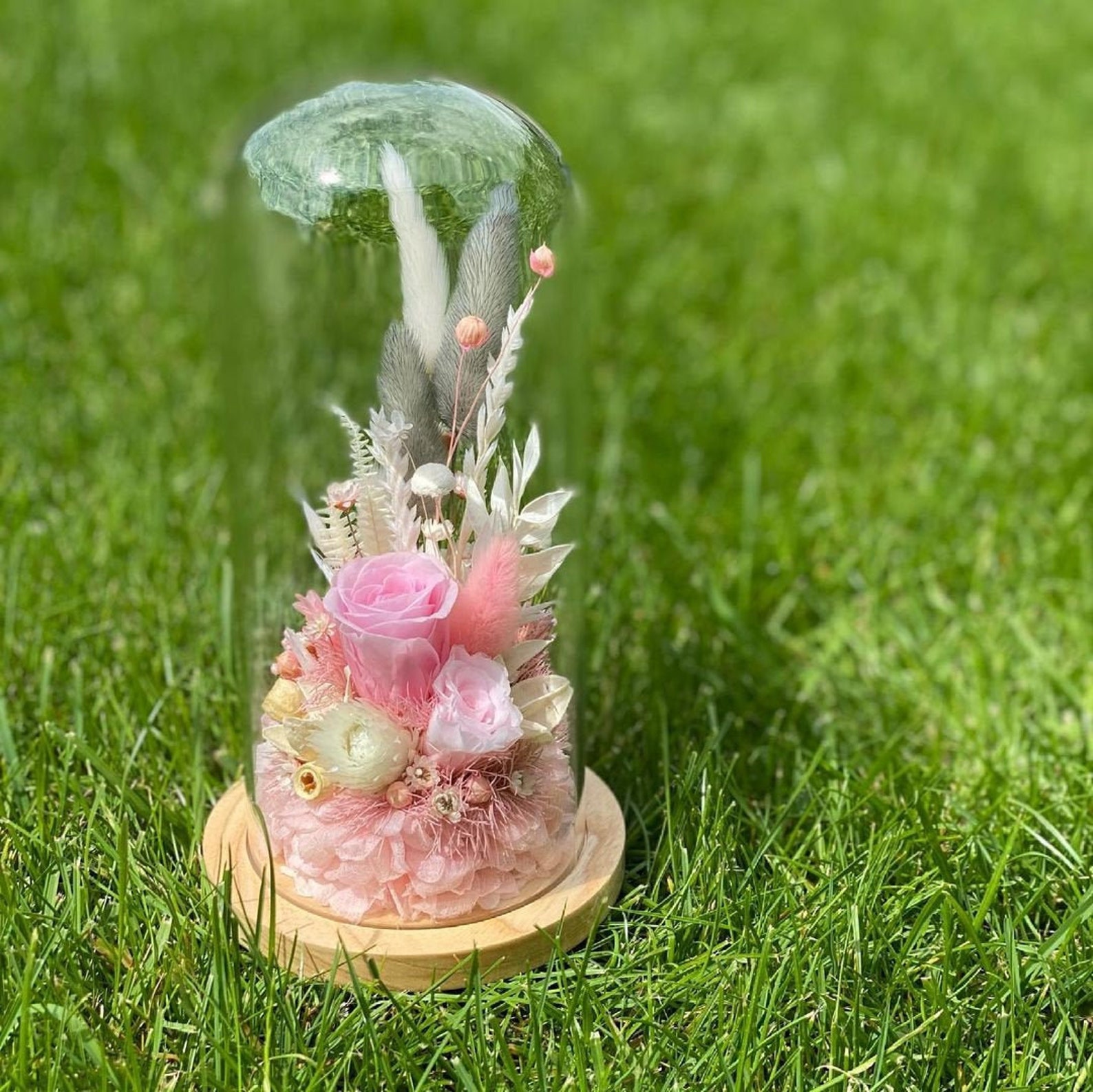 Cloche From Dried Flowers and Stabilized Plants Handmade Only Etsy