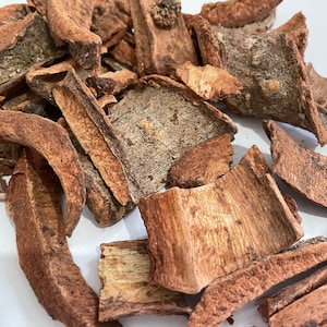 Corteza de Cuachalalate, cortada en trozos pequeños, Amphipterygium adstringens, perfecta para infusiones, venta al por menor, envío gratuito