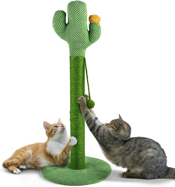 cactus cat scratcher etsy