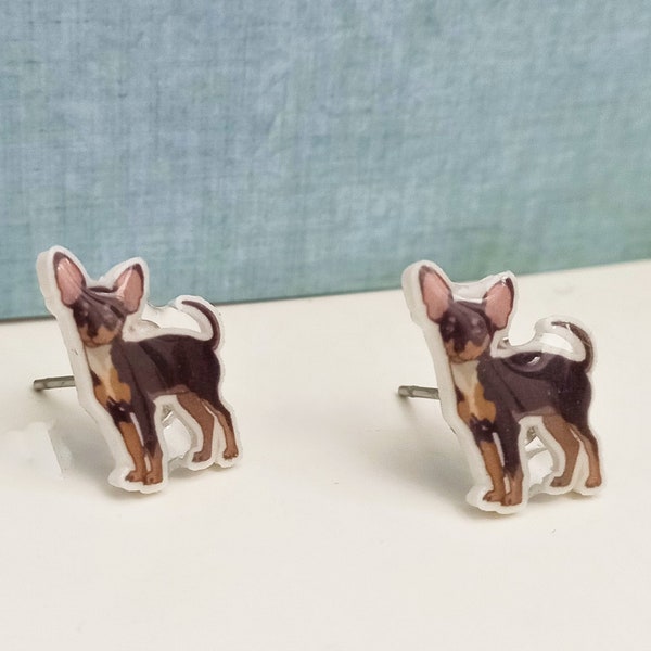 Pinscher dog. Tiny pinscher dog stud earrings. Cute gift for pinscher dog lovers. Pinscher dog accessories. Pinczter. Unisex studs.  Pincher