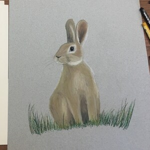 Hand Created Rabbit in Oil Pastel. A3 Rabbit.