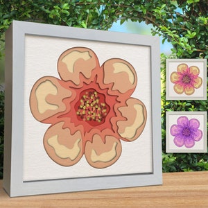 3d Flower Svg, Shadow Box Svg, Colorful Layered Template, Files for cricut, for Silhouette, CNC cutting, Svg, Dxf, Eps, Png Formats