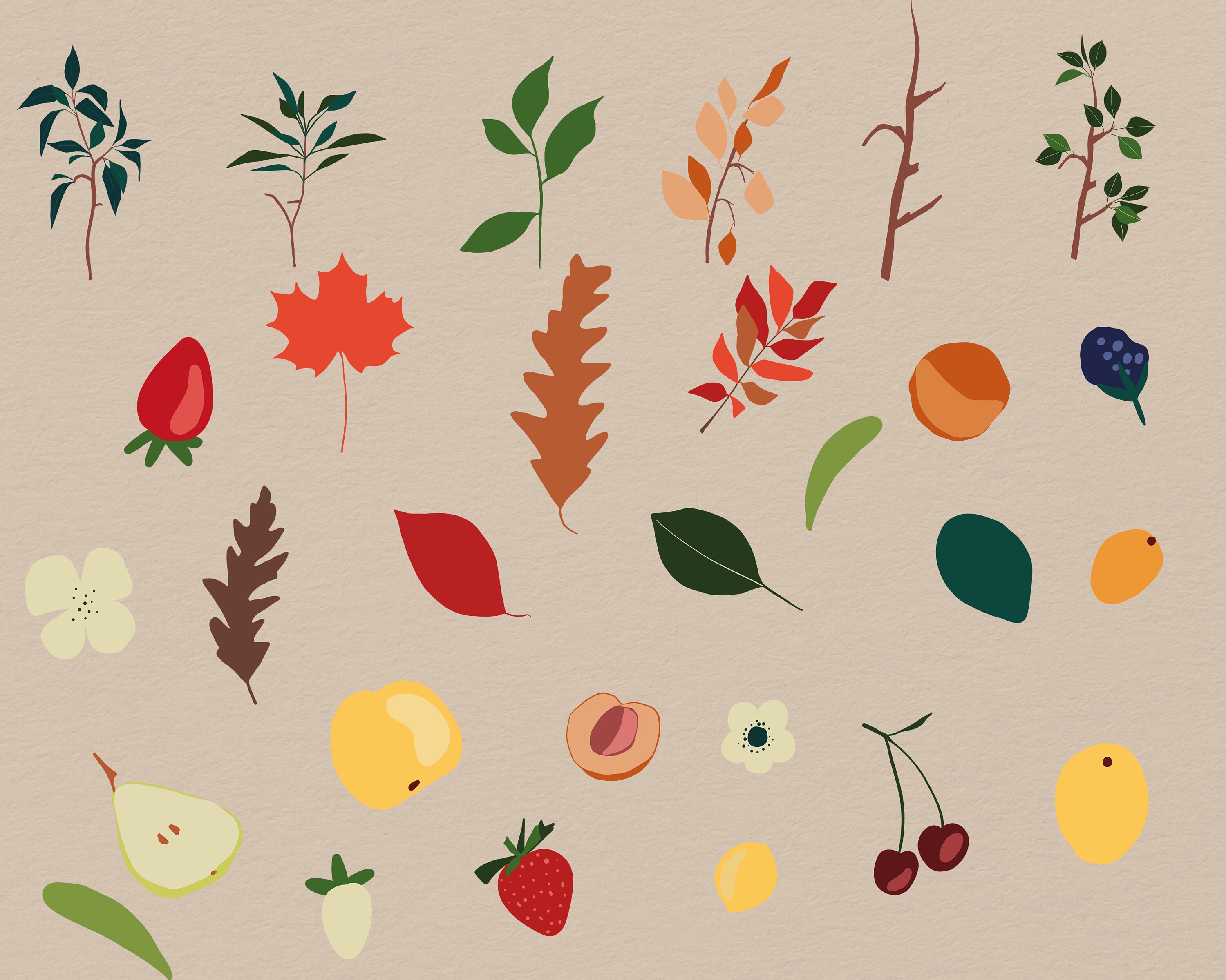 Fall Clipart Vector Fall Clipart Floral Png Clipart - Etsy