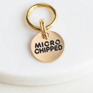 Tiny (1/2") Microchipped Tag - Engraved: Gold or Silver - Cats and Dogs