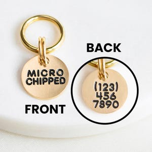 May include: A gold-colored pet tag with a gold ring. The front of the tag reads "MICRO CHIPPED" in black text. The back of the tag has a phone number in black text. The tag is on a white surface.