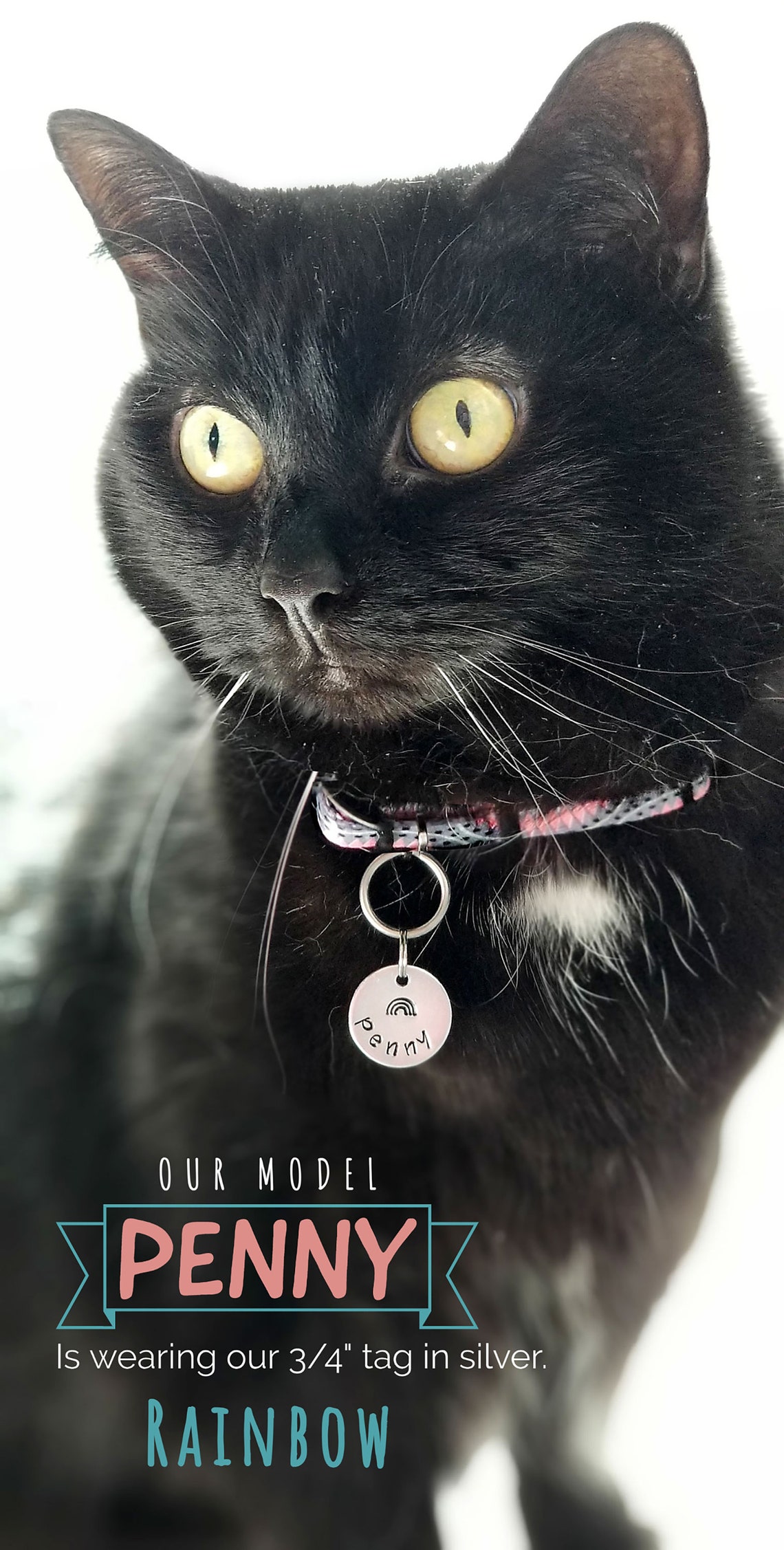 Small Cat Name Tag Small Pet ID Tag Gold or Silver Dog or Etsy