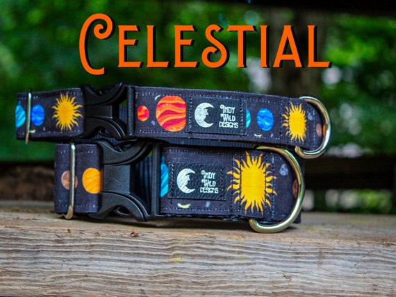 planet dog collar